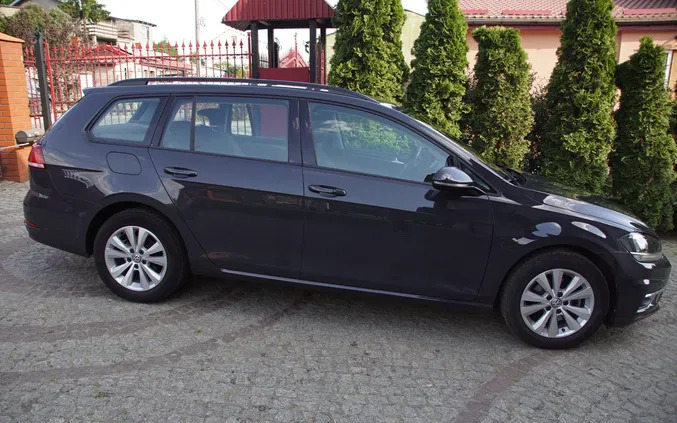 volkswagen golf Volkswagen Golf cena 67000 przebieg: 70200, rok produkcji 2019 z Sandomierz